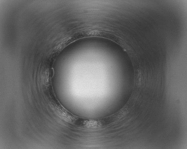 X0000076410230200610161109