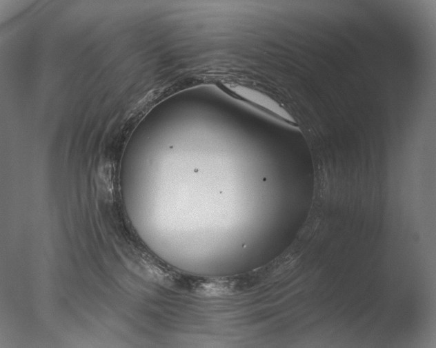 X0000076410232200610161109