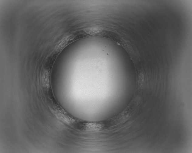 X0000076410234200610161109