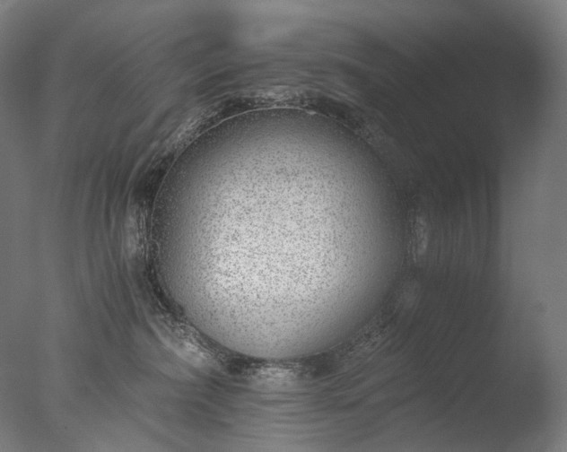X0000076410236200610161109