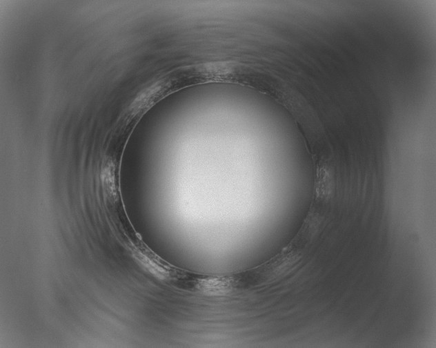 X0000076410238200610161109