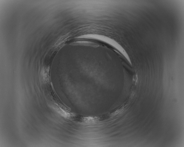 X0000076410239200610161109