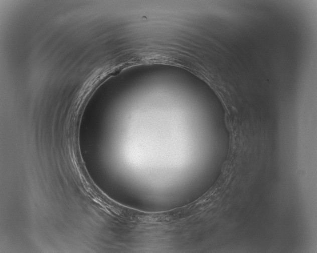 X0000076410241200610161108