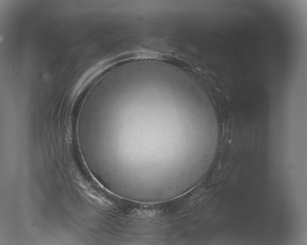 X0000076410247200610161108