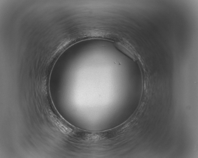 X0000076410249200610161108