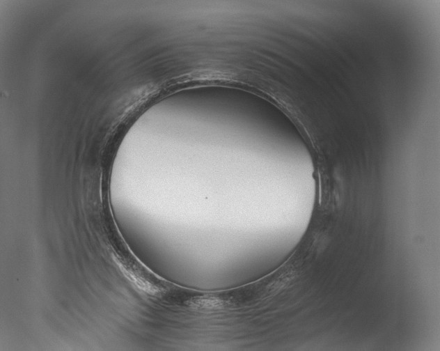 X0000076410253200610161108