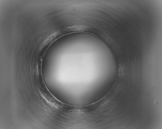 X0000076410254200610161108