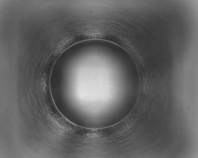 X0000076410259200610161108