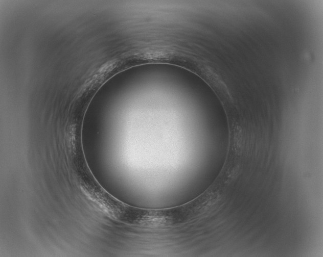 X0000076410260200610161108