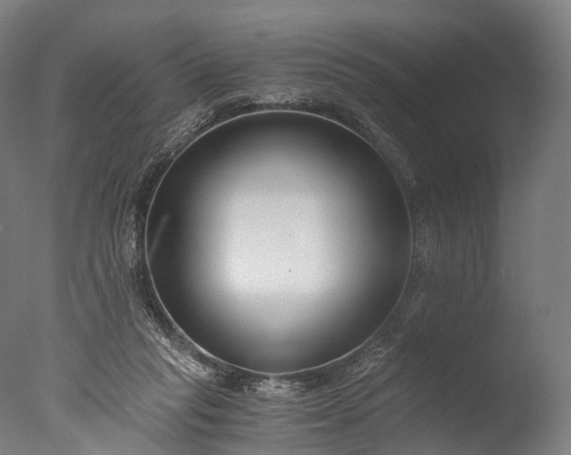 X0000076410261200610161108