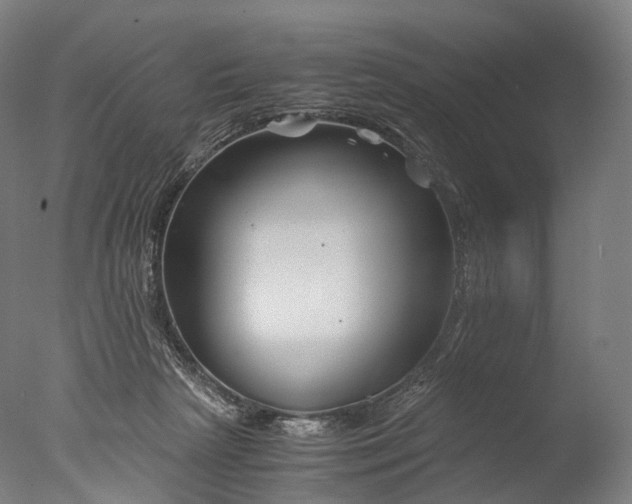 X0000076410265200610161108