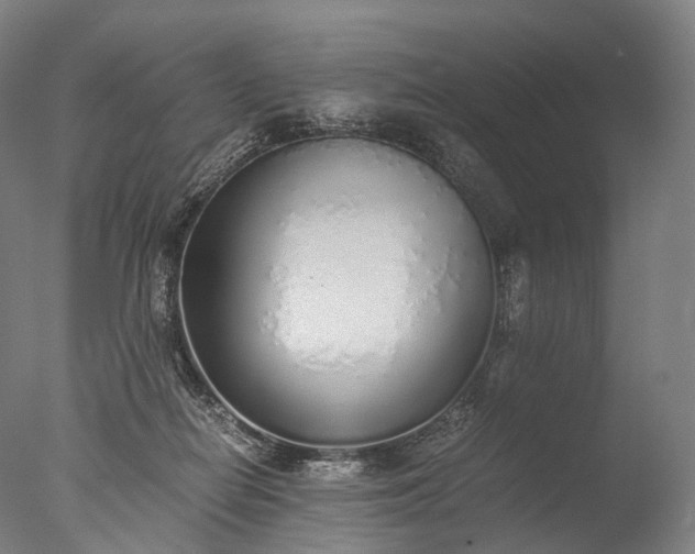 X0000076410266200610161108