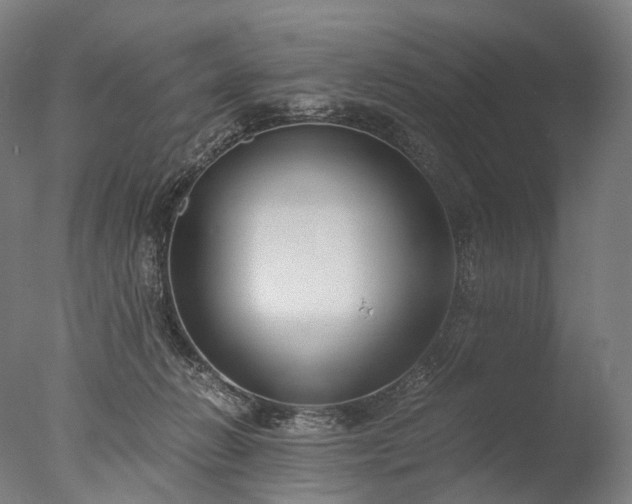 X0000076410270200610161108