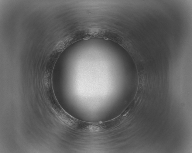 X0000076410272200610161108