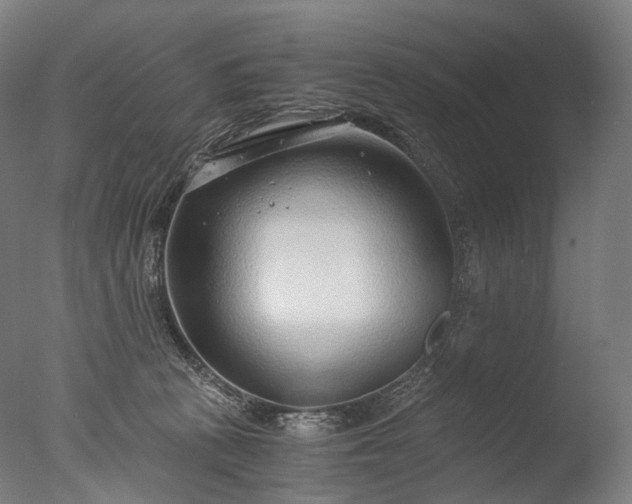 X0000076410273200610161108