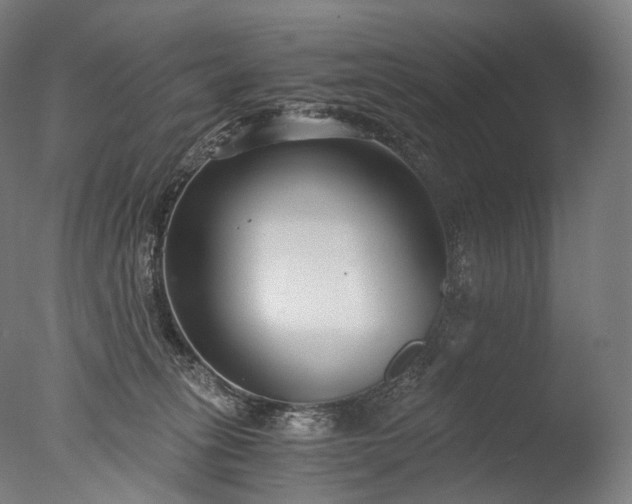 X0000076410275200610161108