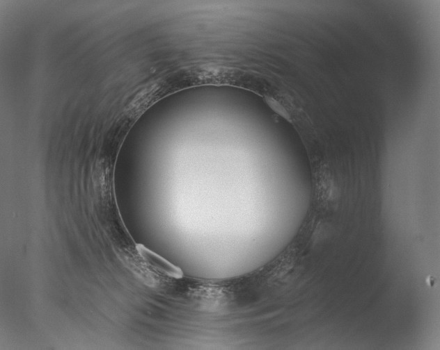 X0000076410276200610161108