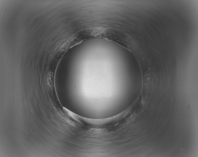 X0000076410280200610161108