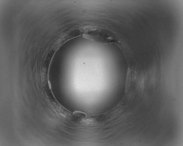 X0000076410283200610161108