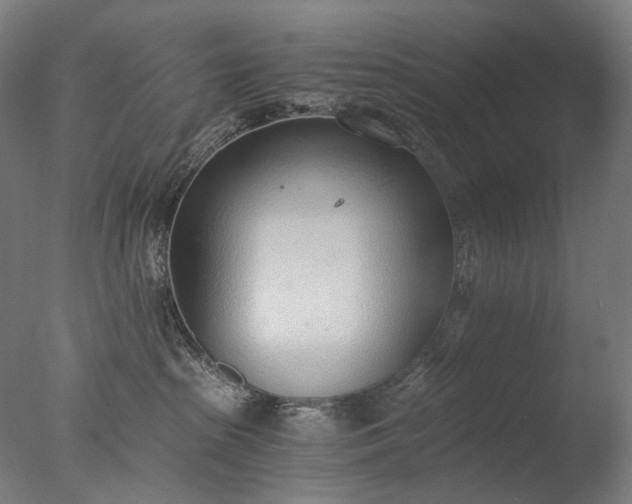 X0000076410285200610161108
