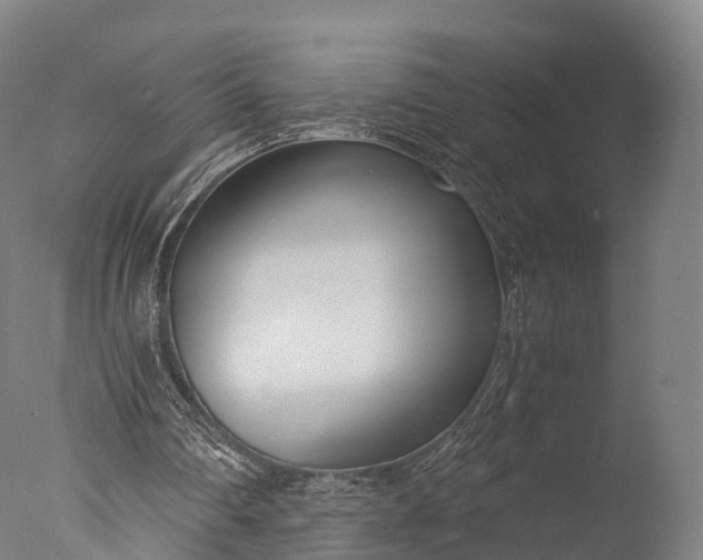 X0000076410290200610161108