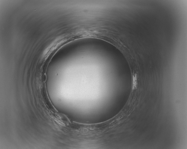 X0000076410291200610161108