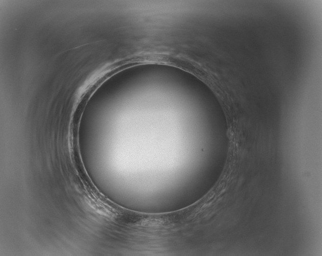 X0000076410294200610161108