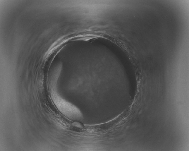 X0000076410295200610161108
