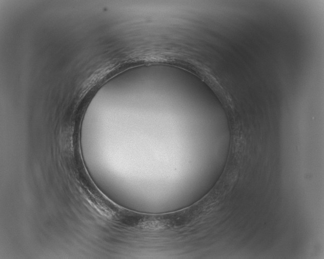 X0000076410299200610161108
