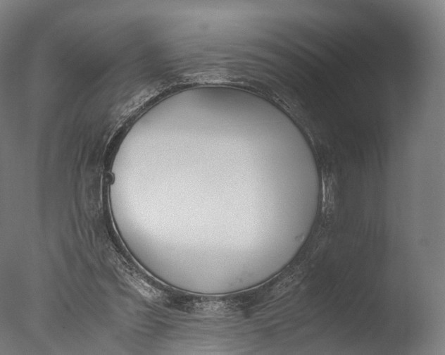 X0000076410301200610161108