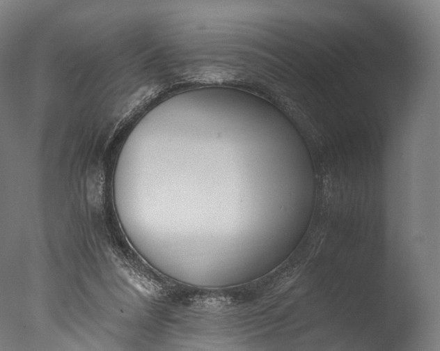 X0000076410304200610161107