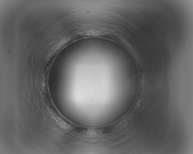 X0000076410305200610161107