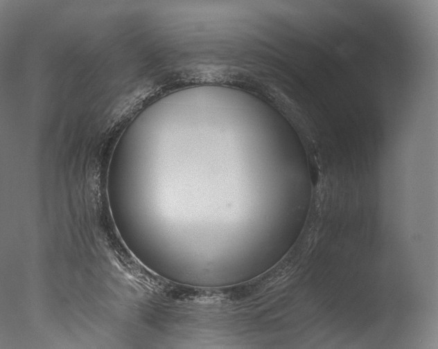 X0000076410306200610161107