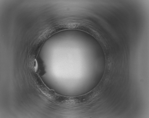X0000076410307200610161107