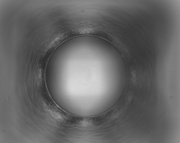 X0000076410308200610161107