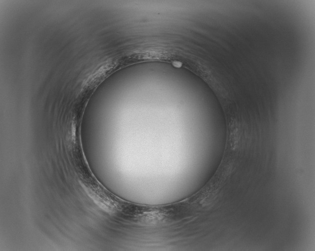 X0000076410310200610161107