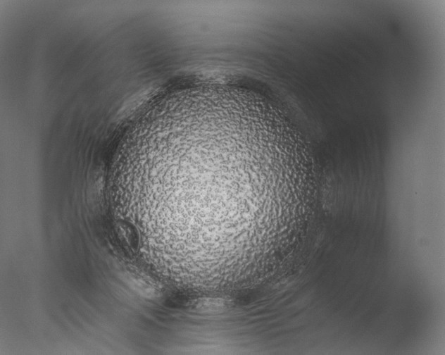 X0000076410314200610161107