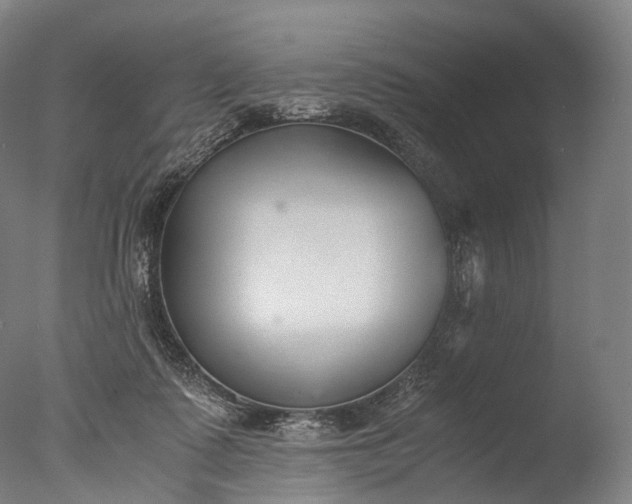X0000076410315200610161107