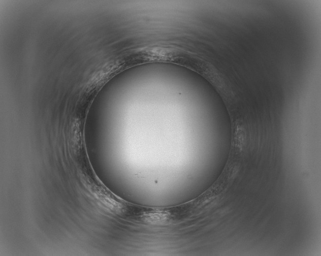 X0000076410318200610161107