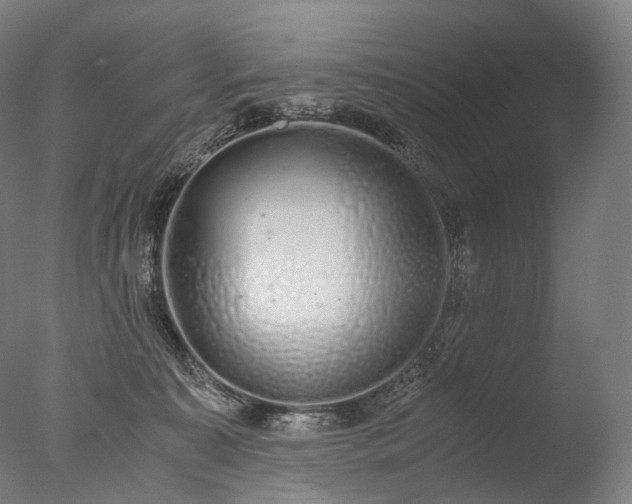 X0000076410323200610161107