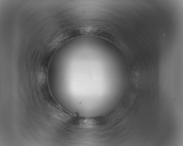 X0000076410324200610161107