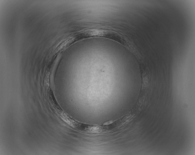 X0000076410325200610161107