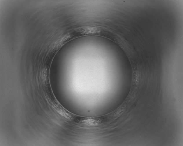 X0000076410326200610161107