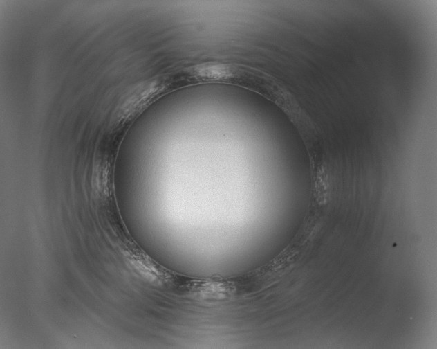 X0000076410330200610161107