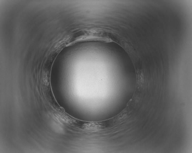 X0000076410331200610161107