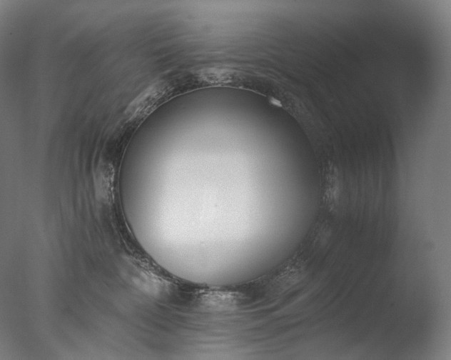 X0000076410332200610161107