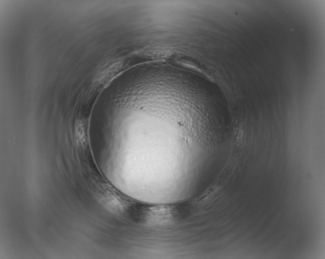 X0000076410335200610161107