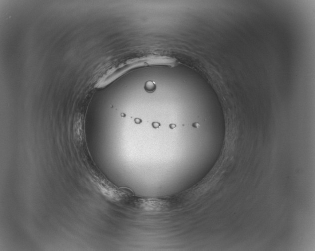 X0000076410336200610161107