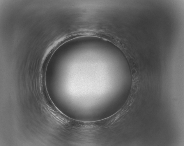 X0000076410342200610161106