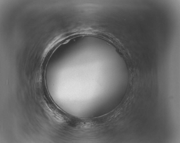X0000076410344200610161106
